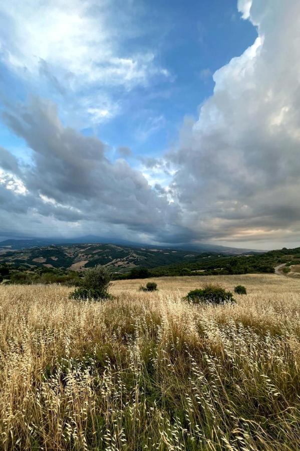 Casa Primavera A Rocca D'Orcia Castiglione dʼOrcia Exterior foto
